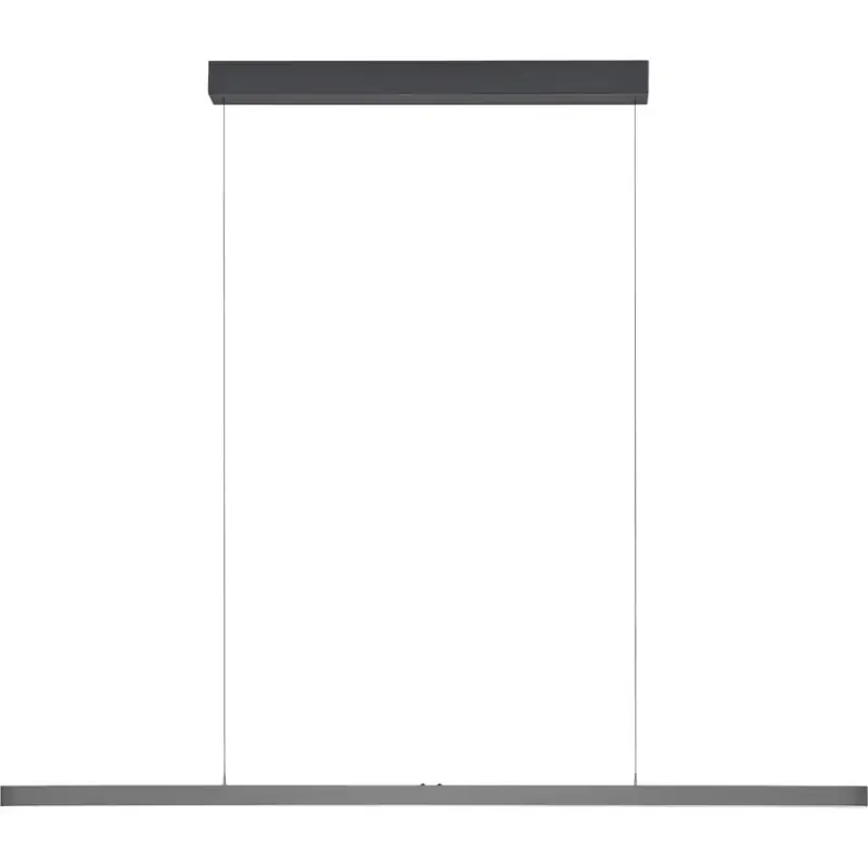 Lumimart | Suspension design Bankamp Line anthracite 120 cm Meilleur Choix