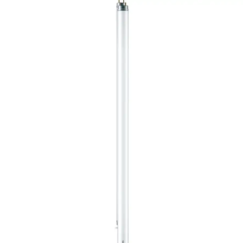 Produit De Marque Lumimart | Ampoule Philips Verre G13 8 W