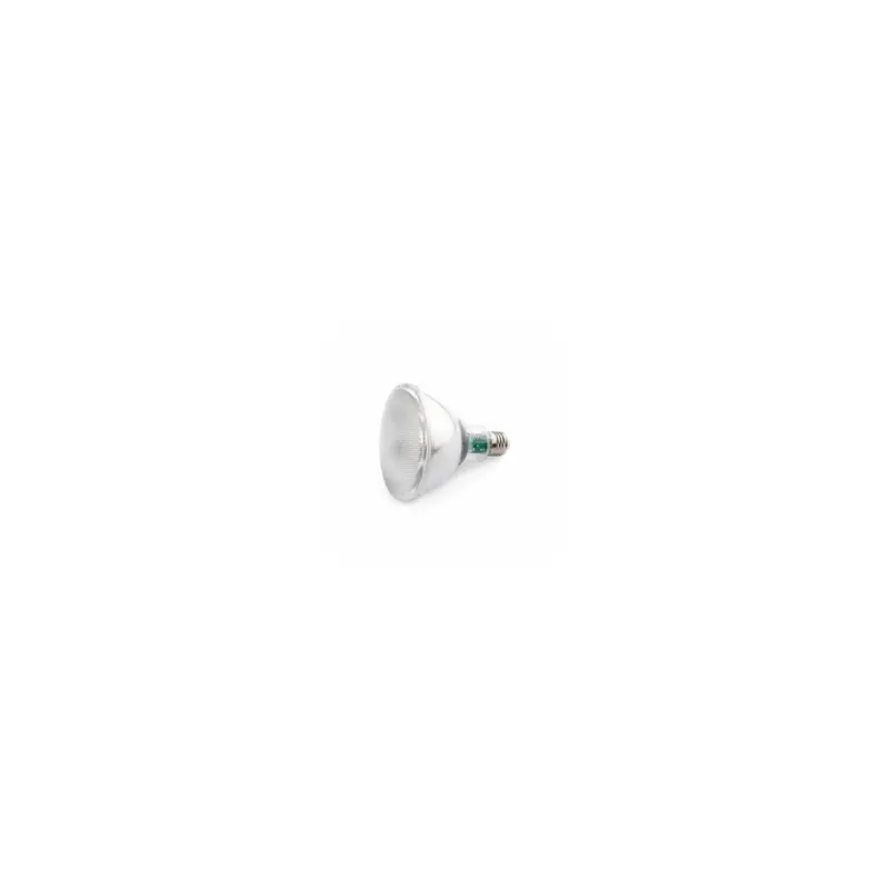 Ampoule LED E27 PAR30 10w Nouvelle Collection