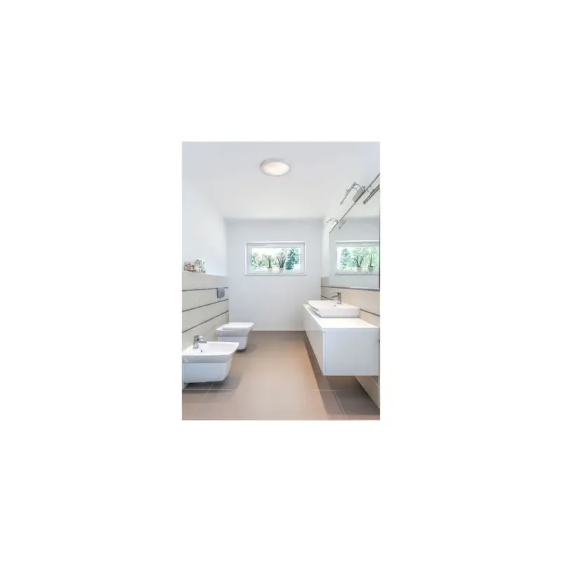 Plafonnier Salle de Bain gris 20 W LOGOS 1 Certifié
