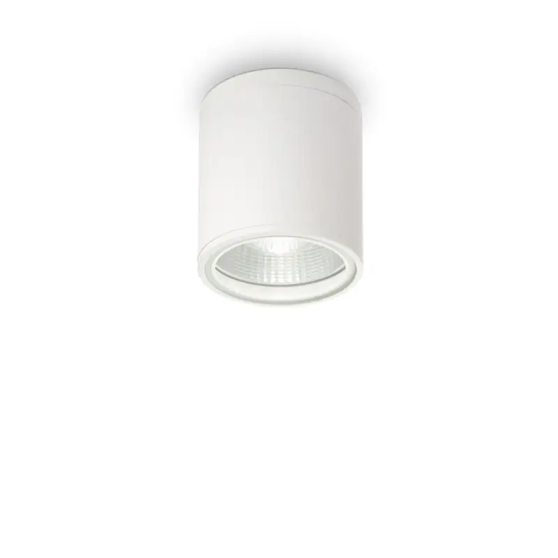 Bon Plan Plafonnier extérieur GUN Blanc 1x28W