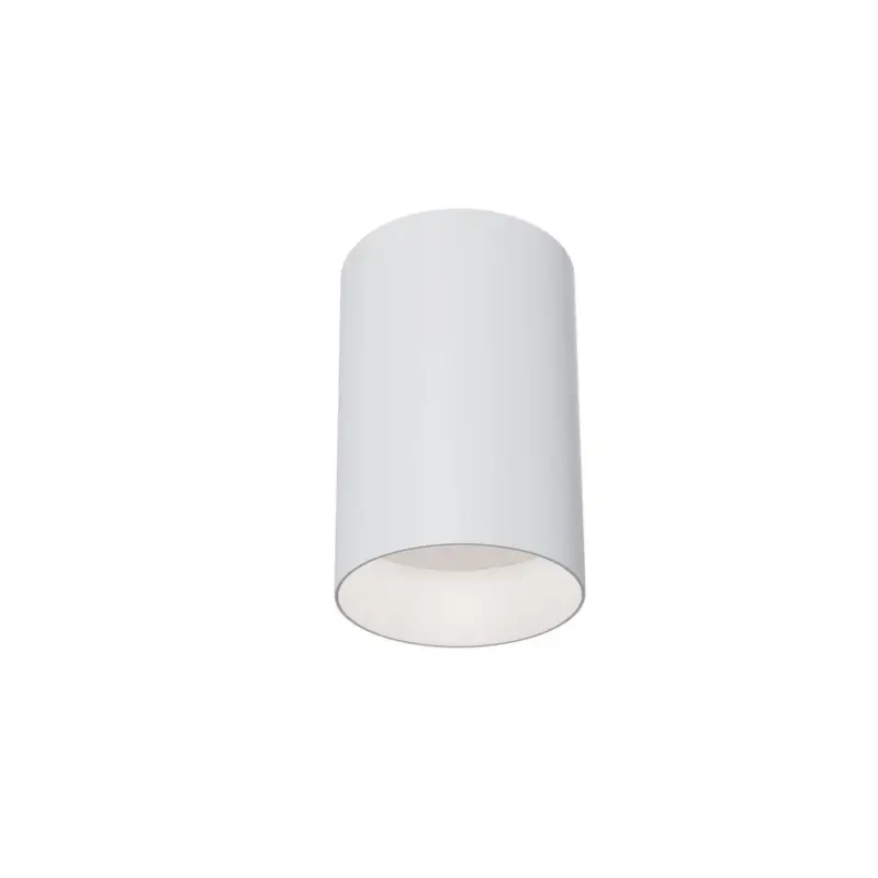 Plafonnier Alfa Blanc 1xGU10 50W C014CL-01W Paiement Sécurisé