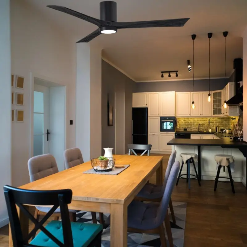 Prix Cassé Ventilateur Plafond avec lampe Irene 152cm Noir
