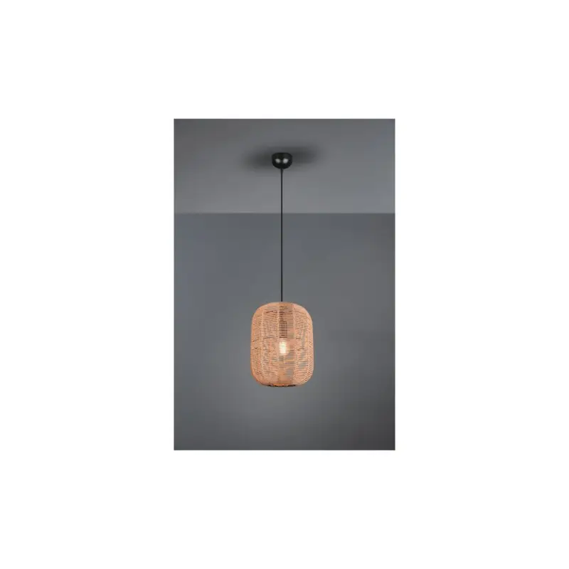 Suspension Runa Noir Mat 1x40W E27 D35 Authentique