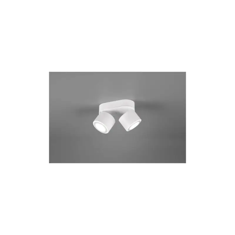 Commande En Gros Plafonnier Taurus Blanc Mat 2x3W SMD LED