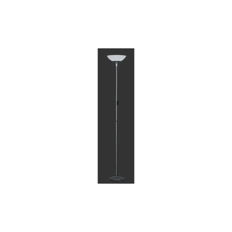 Soldes Lampadaire Dezwo Titane 1x100W E27