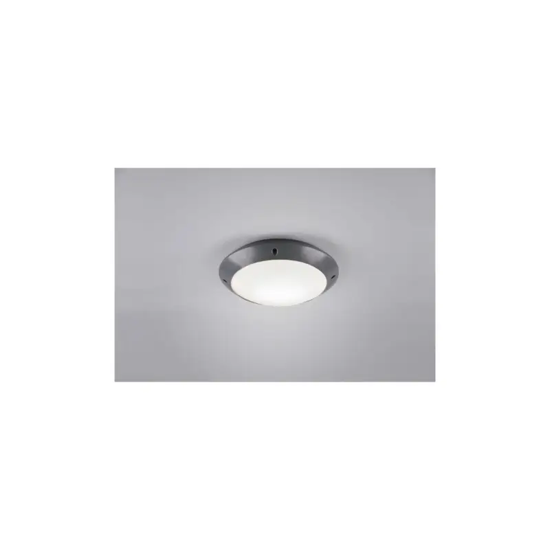 Bon Plan Plafonnier Camaro Anthracite 1x12W E27