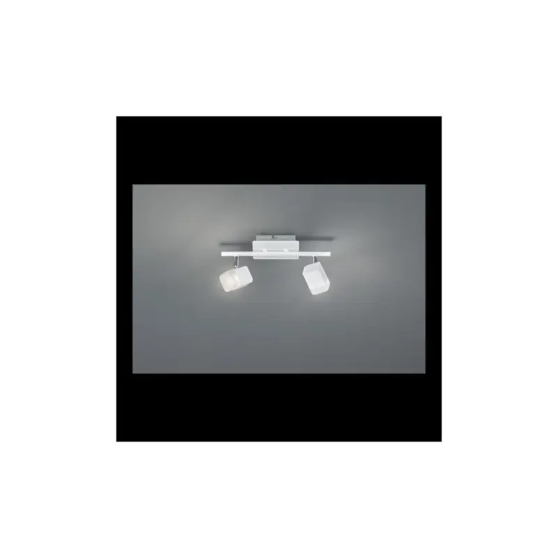 Promotion Saisonnière Plafonnier Roubaix Blanc Mat 2x4W SMD LED