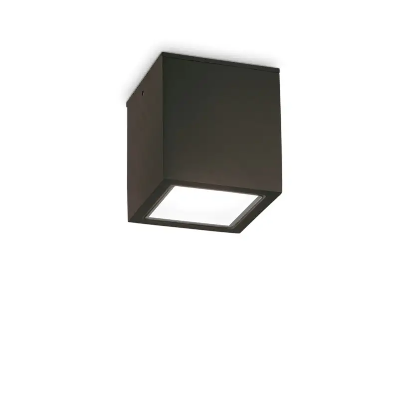 Livraison Express Plafonnier Extérieur TECHO Noir 1x20W H16