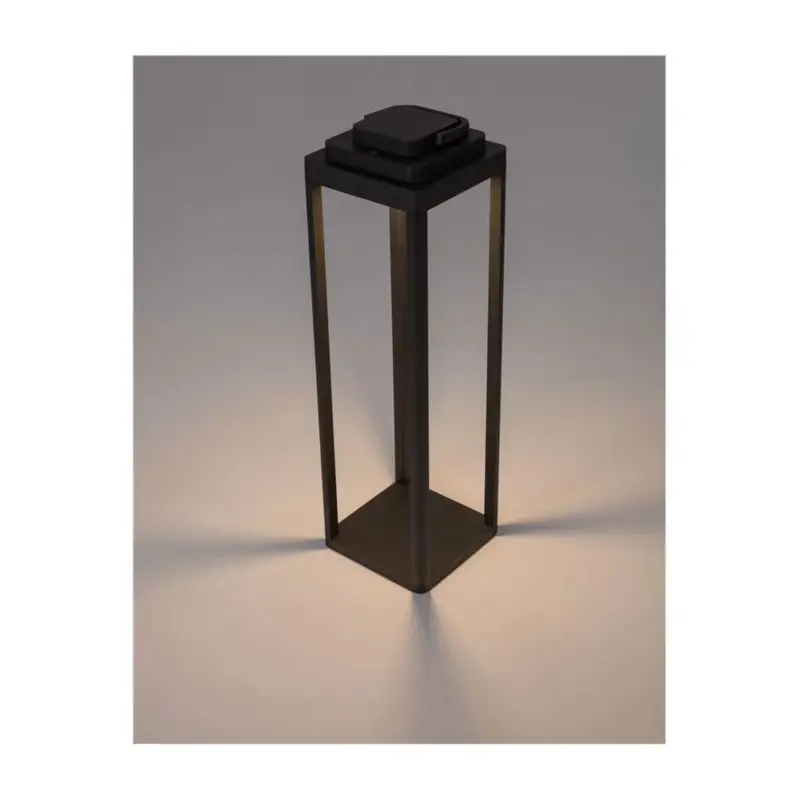 Acheter Direct Borne Lumineuse Extérieure FIGI Anthracite LED 2 W H50