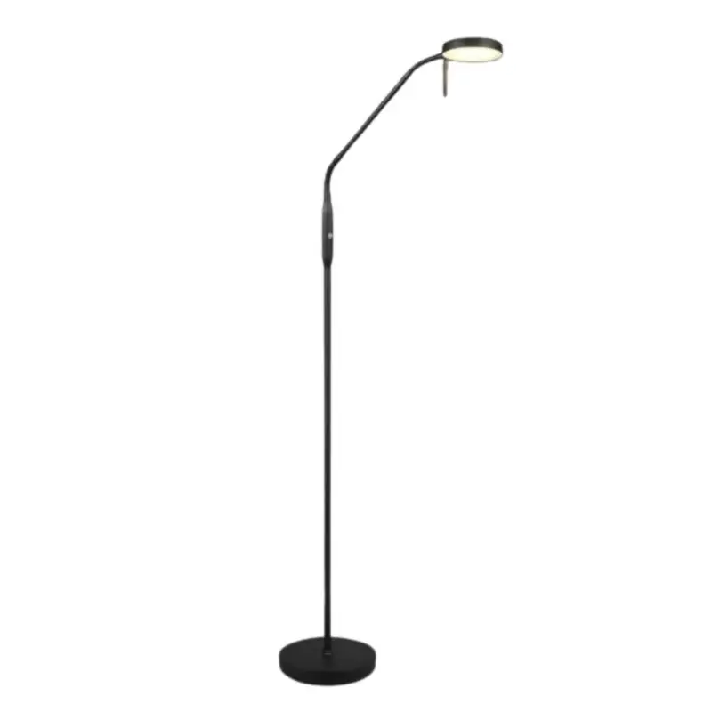 Expédié Aujourd'hui Lampadaire MORENO 3W LED Noir mat