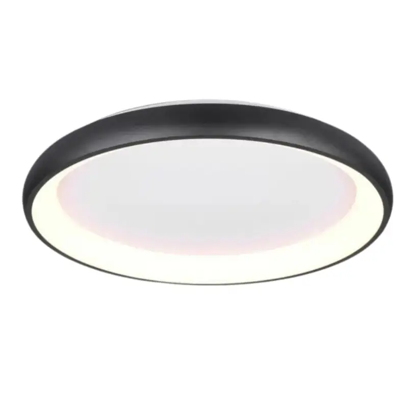 Plafonnier CARDONA 59W LED Noir mat Populaire