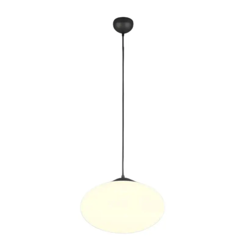 Suspension FOMENTO 1×8,5W E27 Noir mat D40 Petit Prix