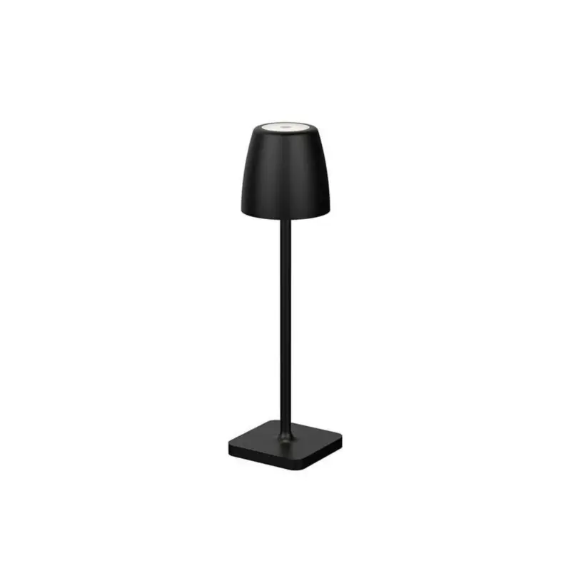 Lampe Extérieur COLT 2W LED Anthracite sombre Offre Du Jour