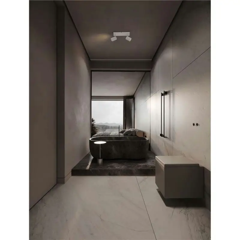 Plafonnier Salle de bain ALMA 2X10W LED GU10 Blanc Acheter En Ligne