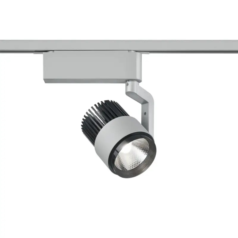 Authentique Spot DUOLINE 1x15W LED Titane