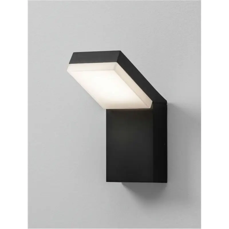 Prix Cassé Applique Extérieur FARGE 12W LED Anthracite sombre