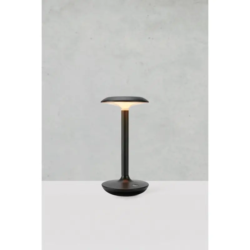 Lampe Extérieur PETIT Noir 2W Produit De Marque