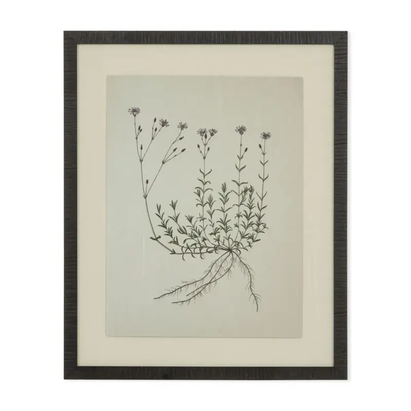 Tableau Natural botanical I Produit De Marque