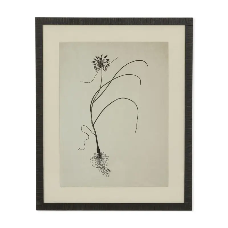Tableau Natural botanical IV Prix Bas