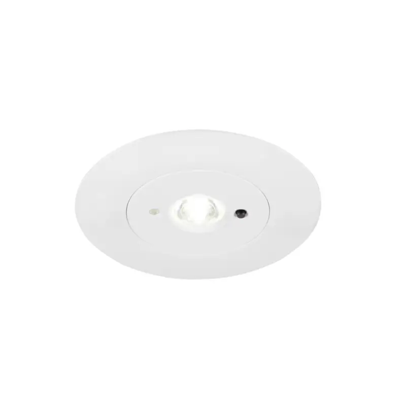 Achetez Aujourd'hui P-LIGHT