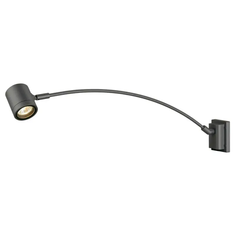Nouvel Arrivage MYRA DISPLAY