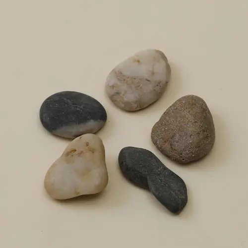 5 galets pour jardin zen Dernier Modèle