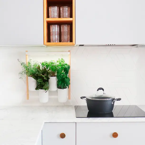 Potager d'intérieur Modulo en bois Offre Spéciale