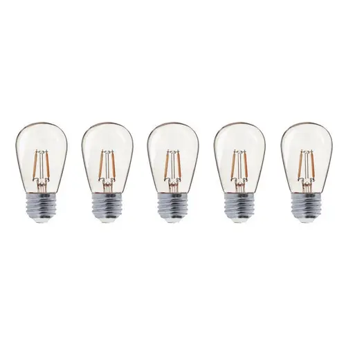 Vente Flash Ampoules pour 50170420