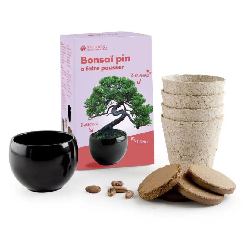 Kit bonsaï à faire pousser Achat Immédiat