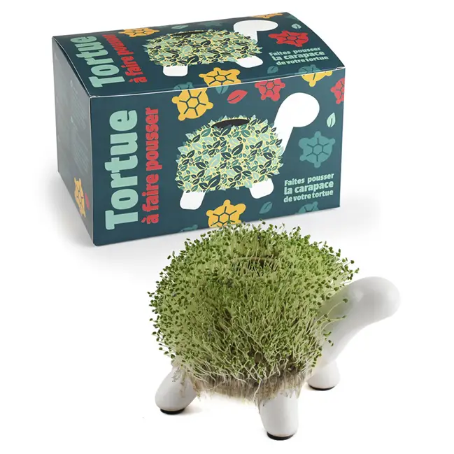 Kit de culture cresson tortue Achetez Aujourd'hui