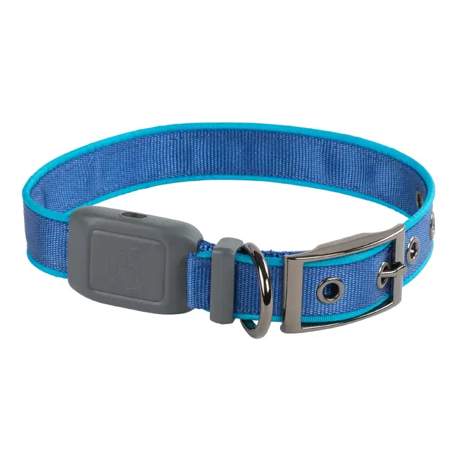 Acheter Direct Collier pour chien lumineux rechargeable