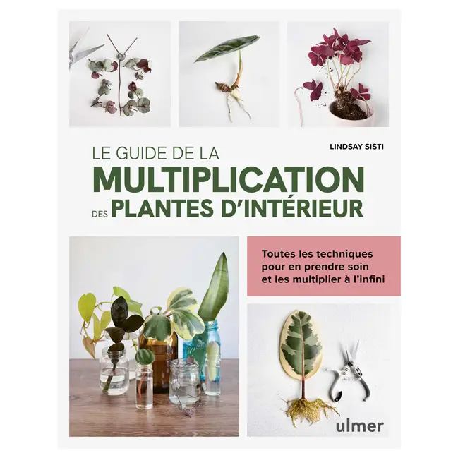 Le guide de la multiplication des plantes d'intérieur Achetez Aujourd&rsquo;hui