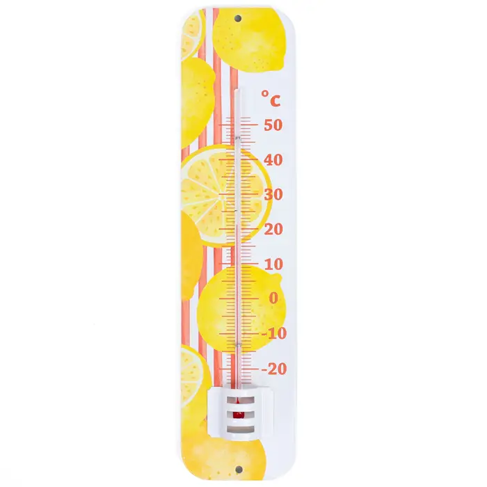 Thermomètre intérieur et extérieur décoratif Dolce Vita édition limitée Meilleure Vente