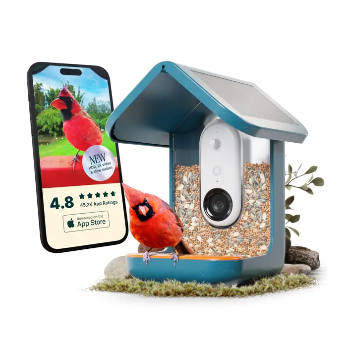 Mangeoire pour oiseaux connectée intelligence artificielle caméra HD Birdbuddy Pas Cher