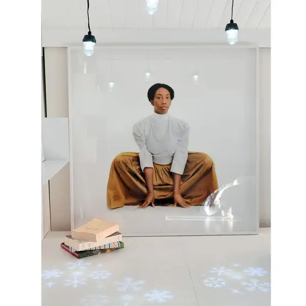 Populaire Guirlande LED Projecteur Flocons